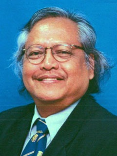 シャムスル・アムリ・バハルディーン の顔写真